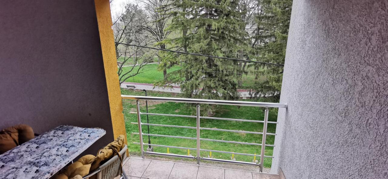 Apartments Banjica Sokobanja Exterior foto
